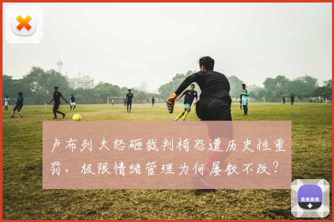 卢布列夫怒砸裁判椅恐遭历史性重罚，极限情绪管理为何屡教不改？